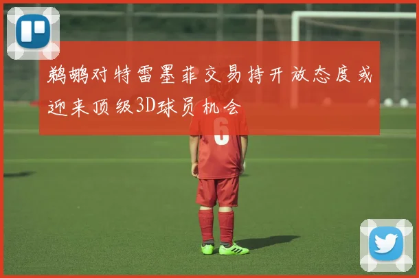 鹈鹕对特雷墨菲交易持开放态度或迎来顶级3D球员机会