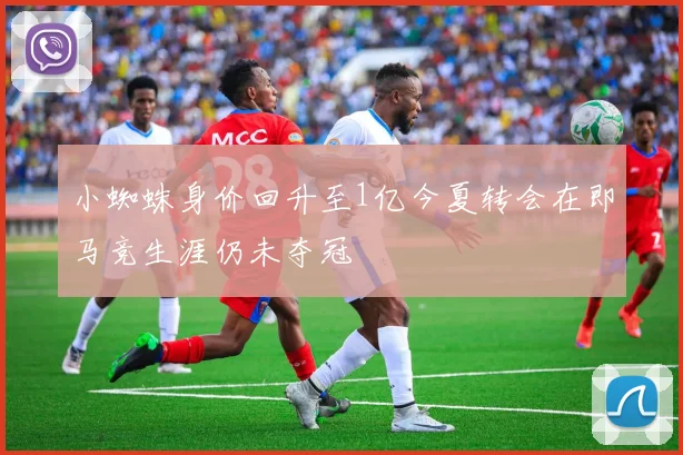 小蜘蛛身价回升至1亿今夏转会在即马竞生涯仍未夺冠